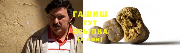 тгк Пересвет