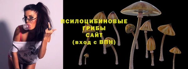 тгк Пересвет